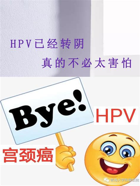 Hpv转阴的方法是哪些，做好这几件事就可以了 哔哩哔哩