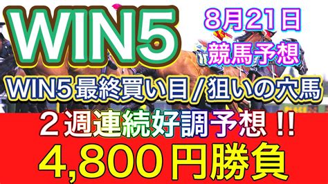 【競馬】win5予想最終買い目 ️予想好調の波に乗ってる今がチャンス⁉️ Youtube