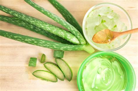 8 Surprising Aloe Vera Benefits For Your Facial Skin