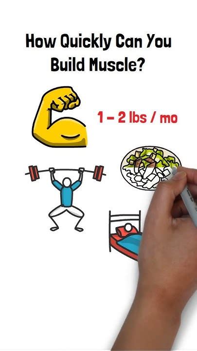 How Quickly Can You Realistically Build Muscle Fitness Gym Muscle