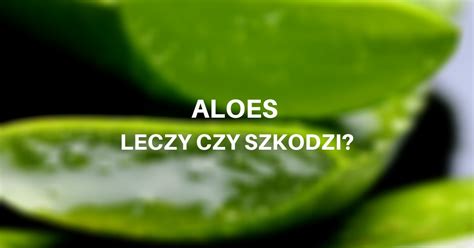 Aloes leczy czy szkodzi Tadeusz Sowiński