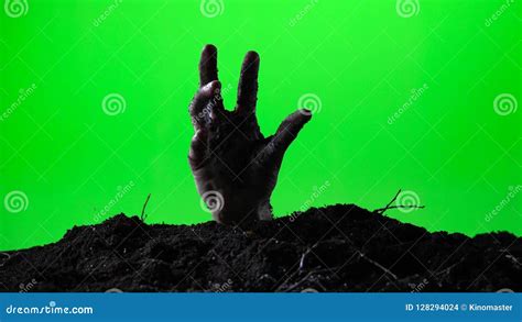 Grave Stock Footage And Videos 4580 Stock Videos