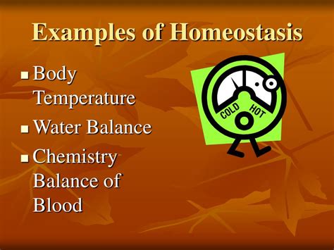 PPT - Homeostasis and the Human Body PowerPoint Presentation, free ...