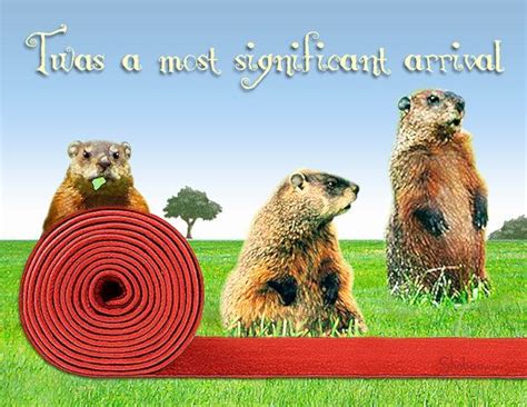 Funny Groundhog Birthday Card Red Carpet Welcome By Shabooprints 325