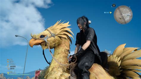 Watch A Chocobo Race In Final Fantasy Xv Gametyrant