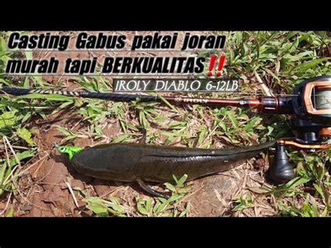 Mancing Ikan Gabus Casting Gabus Pakai Joran Murah Tapi Berkualitas