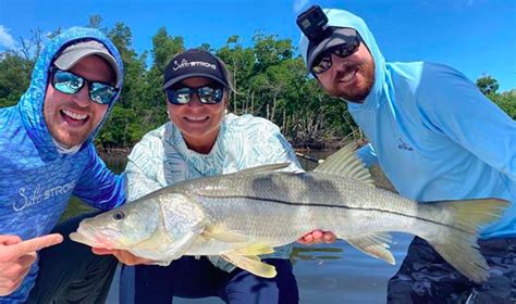 How To Catch Overslot Snook Using These Artificial Shrimp