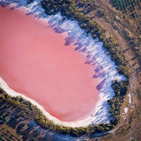 Lake Hillier Western Australia (Pink Lake)