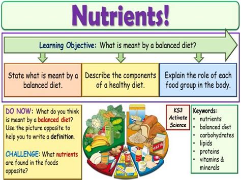 Organisms Aqa Activate 2 Ks3 Science Bundle Teaching Resources