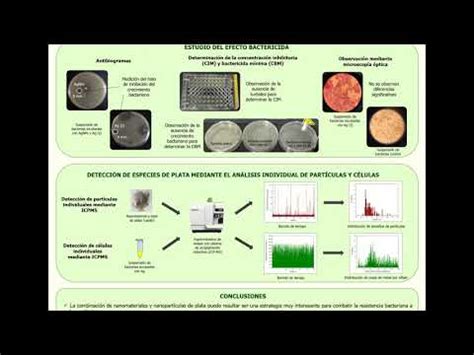 Estudio Del Efecto Bactericida De Nanomateriales A Base De Plata YouTube