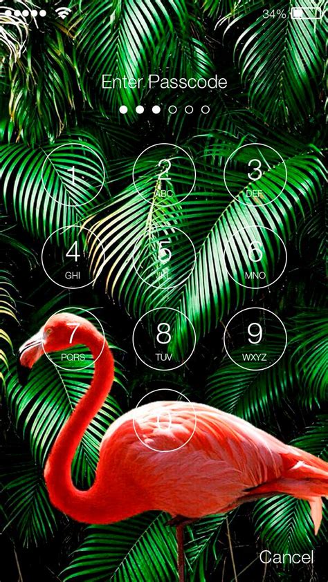 Flamingo Pink Tropic Wallpaper Hd Screen Lock Apk For Android Download