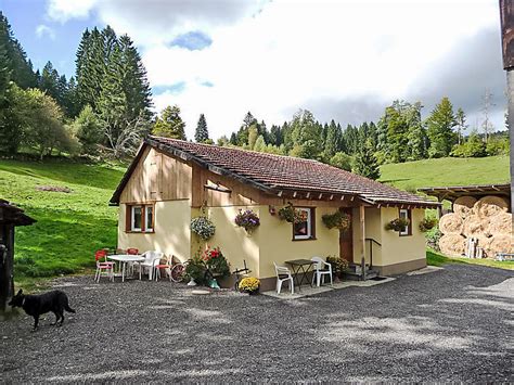 Ferienhäuser Schwarzwald mit Hund Urlaub auf Pfoten