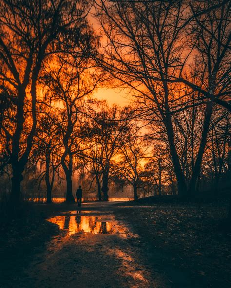 Fotos Gratis Paisaje Rbol Agua Naturaleza Bosque Rama Cielo