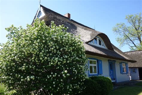 Komfort Ferienhaus in Wieck auf dem Darß Perfekt für den Ostseeurlaub