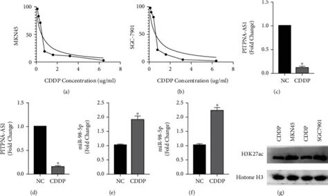 Pitpna As Mir P To Mediate The Cisplatin Resistance Of Gastric