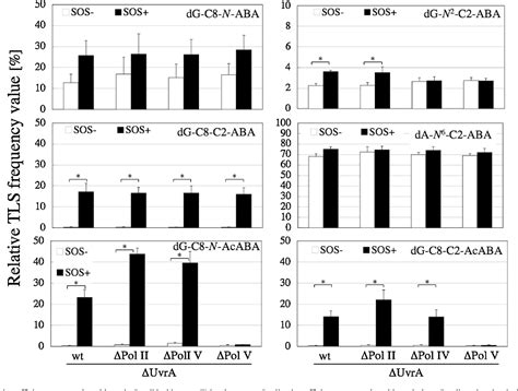 Figure From Translesion Dna Synthesis Across Various Dna Adducts