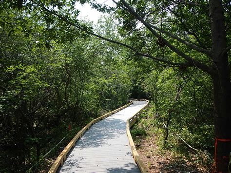 Hellcat Trail Boardwalk Replacement The La Group Landscape