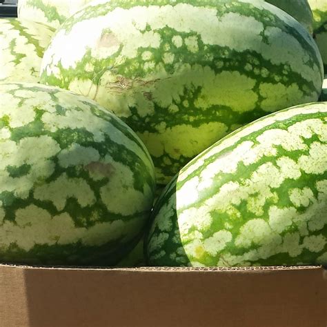 A Small Town In Oklahoma Is The Watermelon Capital Of The World