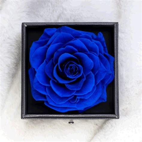 Dropship Preserved Real Rose Gift Box Enchanted Real Rose With I Love