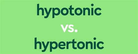 Hypotonic Vs Hypertonic Vs Isotonic Learn The Contrasts Dictionary