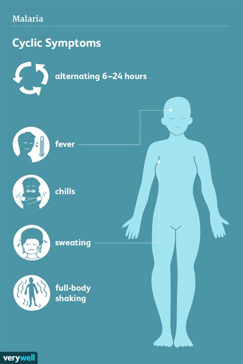 Malaria: Signs, Symptoms, and Complications