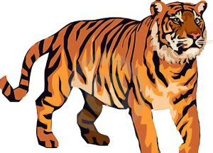 Tiger Photography, Stock Photography Free, Big Cats, Cool Cats, Wests Tigers, Angry Tiger ...