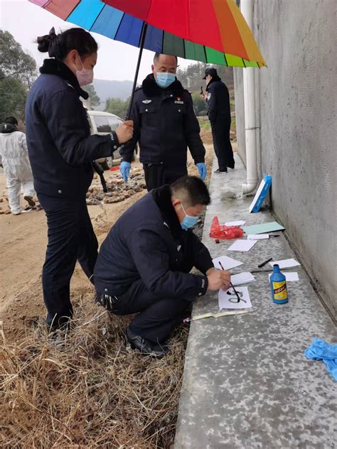 麻城警方查获87只野生动物 搜狐大视野 搜狐新闻