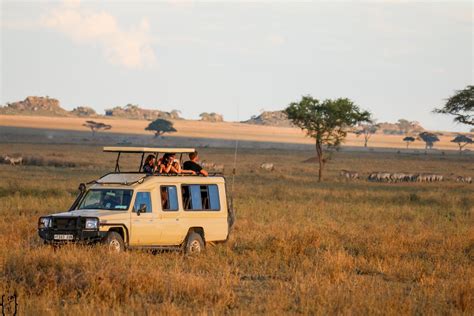 Three Day Join Group Safari To Ngorongoro Crater And Serengeti National