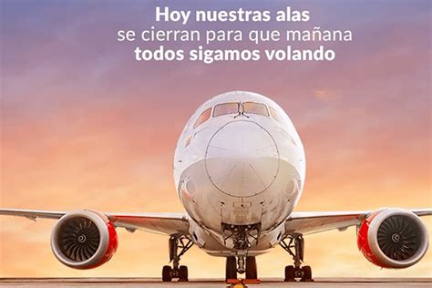 La Aerol Nea Avianca Se Declara En Bancarrota C Digo Espagueti