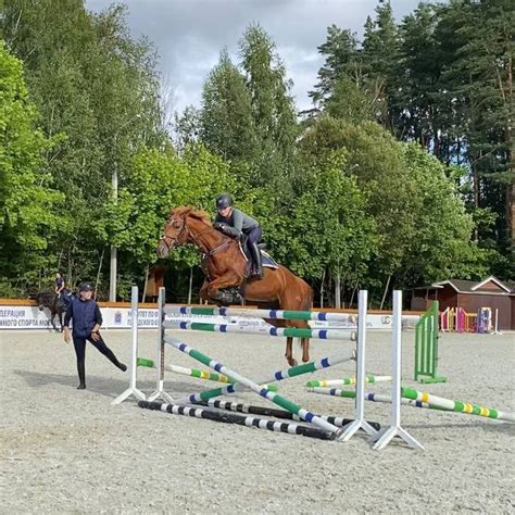 a person jumping a horse over an obstacle