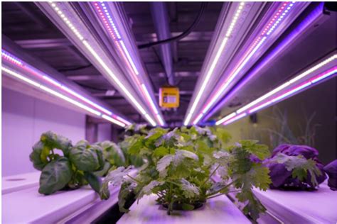 Uk Agri Tech Centre Launched To Spearhead Innovation And Sustainability In Agriculture