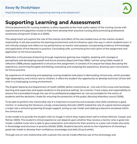 Supporting Learning And Assessment Essay Example StudyHippo