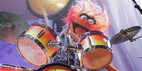 A Brief Interview with Muppets Drummer Animal, Who's Playing Outside Lands | Pitchfork