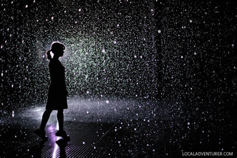 The LACMA Rain Room - Los Angeles - Local Adventurer