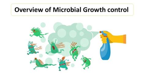 Overview of Microbial Growth control - Microbiology Notes