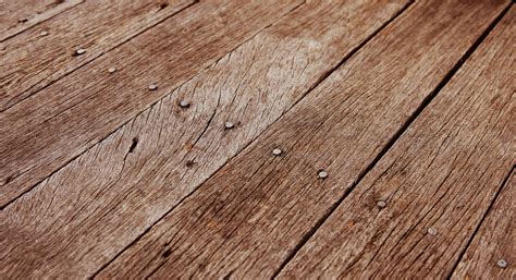 wood cut log wooden background texture | www.myfreetextures.com | Free ...