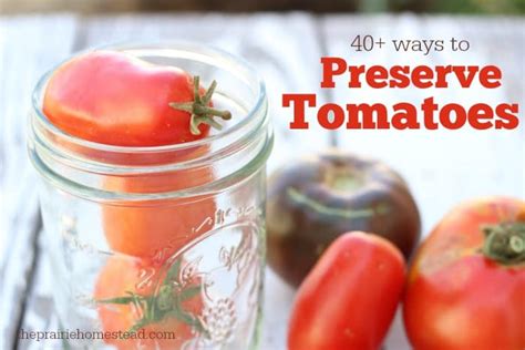 40 Ways To Preserve Tomatoes • The Prairie Homestead