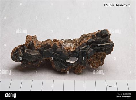 Hornblende Schist Hi Res Stock Photography And Images Alamy