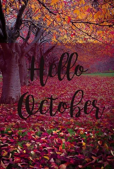 Pin By Majo Garcia On Meses Hello October Images Hello October