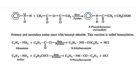 Organic Compounds Containing Nitrogen Ppt