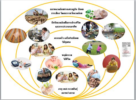 นวัตกรรมสร้างเสริมสุขภาพ เพื่อสังคมสุขภาวะที่ยั่งยืน สำนักงานกองทุน