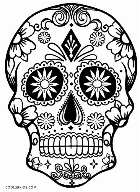 Detailed Skull Drawing at GetDrawings | Free download