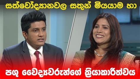 Big Focus සත්වෝද්‍යානවල සතුන් මියයාම හා පශු වෛද්‍යවරුන්ගේ ක්