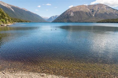 Lake Rotoiti In Nelson Lakes National Park Stock Photo Image Of Hill