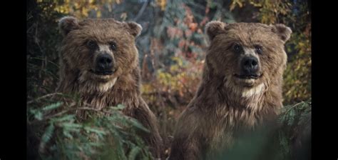 These bears in a Twix advert : r/uncannyvalley