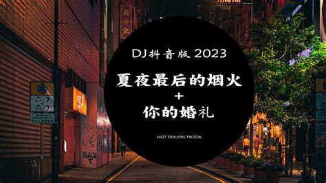 2023 年流行音乐最新混音版 夏夜最后的烟火 顏人中 郭顶 凄美地 DJ抖音版 2023 抖音DJ版合辑