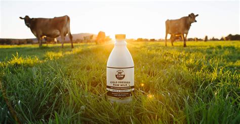 The Worlds First Cold Pressed Raw Milk Made By Cow