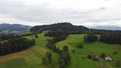 Ew Wald Will Auf Batzberg Windr Der Realisieren Z Riost