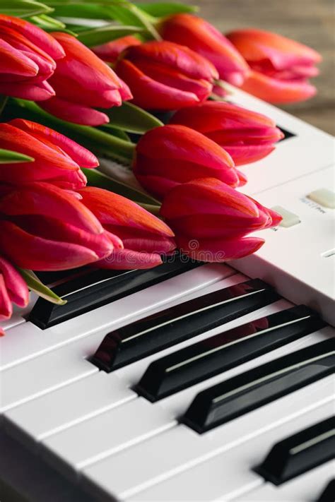 Ramo De Flores En El Armario De Los Tulipanes Rosados De Las Teclas De