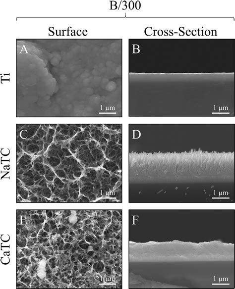 Sem Surface And Cross Section Micrographs With A And B B Ti C